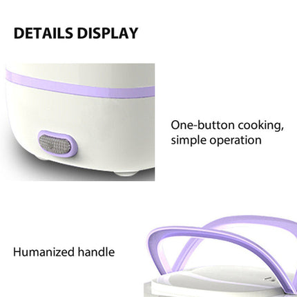 Multi-function electric cooking lunch box