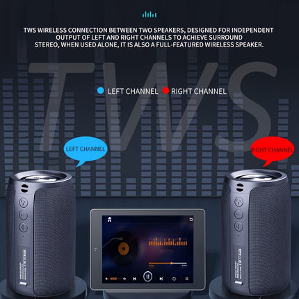 Wireless Speaker with Integrated Subwoofer