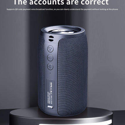 Wireless Speaker with Integrated Subwoofer